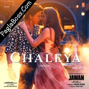 Chaleya (Jawan)